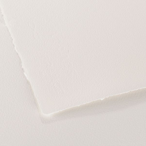 Бумага для акварели CP Watercolour 100% хлопок 356 г/м², 101.6х64.8 см, 10 шт, мелкозернистая, Arches A1795007