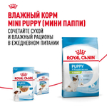 Royal Canin X-Small Puppy Икс-Смол Паппи Корм сухой для щенков миниатюрных пород в возрасте до 10 месяцев 3кг