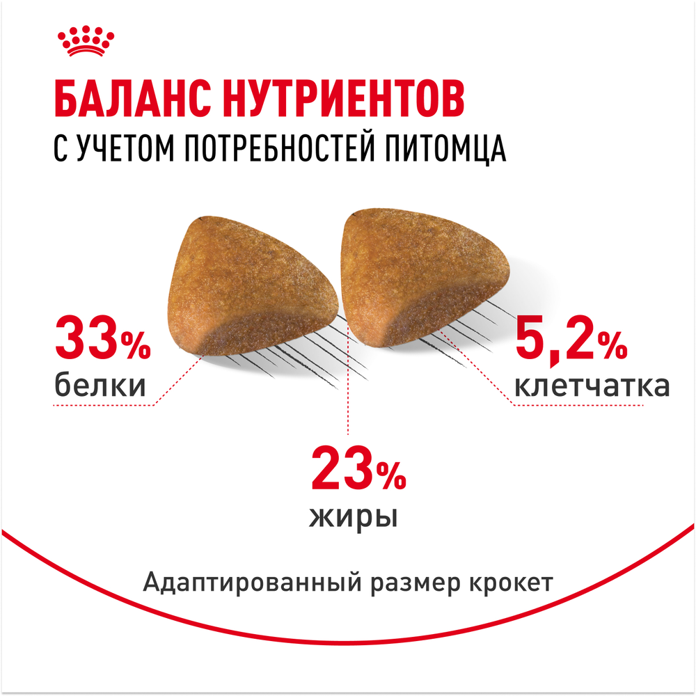 Royal Canin Sphynx Adult Сфинкс Эдалт Корм сухой сбалансированный для взрослых кошек породы Сфинкс от 12 месяцев 400г