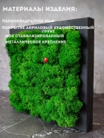 Квадратное панно на стену 20*20 из мха набор 2 шт.