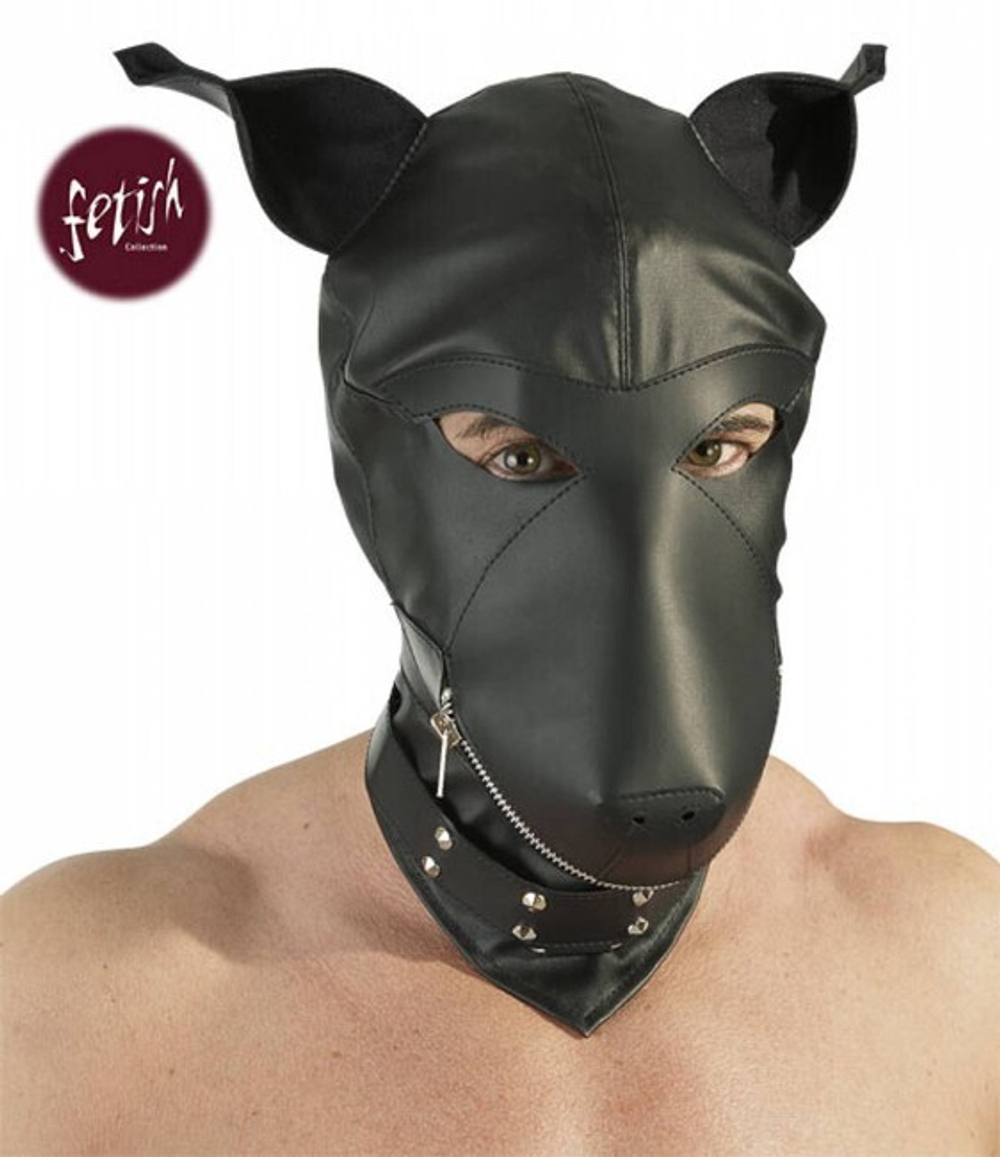 Кожаный шлем собаки Devotion Maske (черный с серебряным ) (Цвет: черный с серебряным)
