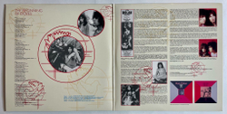 Винтажная виниловая пластинка LP Marc Bolan The Beginning Of Doves (Italy 2004)