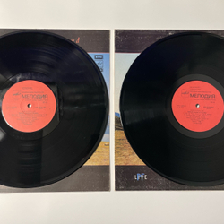 Винтажная виниловая пластинка LP Pink Floyd Delicate Sound Of Thunder. № 1, 2 (СССР 1990) Рижский Завод