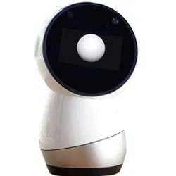 Фотография — Робот Jibo