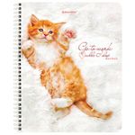 Тетрадь А5, 96 л., BRAUBERG, гребень, клетка, обложка картон, "Котики", 404425, 4шт
