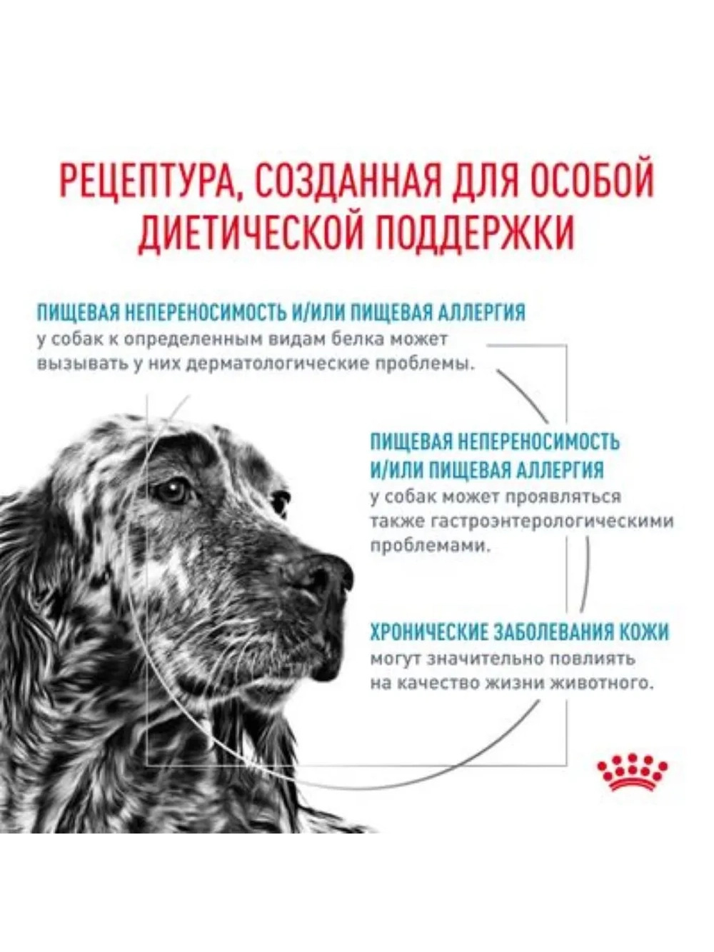 Hypoallergenic DR 21 Canine 2кг Корм для собак