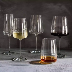 Набор бокалов для вина и шампанского Zwiesel Glass Vivid Senses