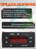 Контроллер ETC - 961 10 A с датчиком NTC в комплекте 1 реле управления