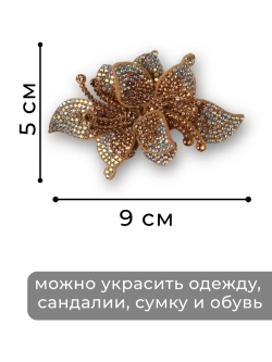Клипсы Украшение для туфлей