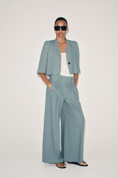 БРЮКИ С ЗАЩИПАМИ И ЛЬНОМ — ZW COLLECTION — ZARA