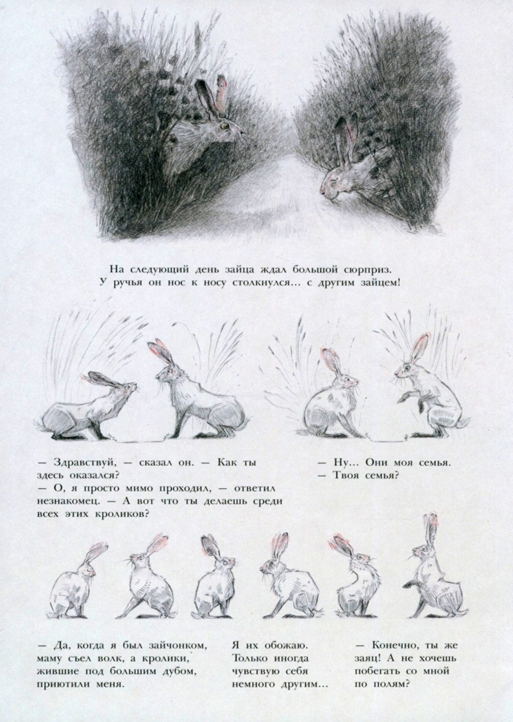 Заяц и кролики