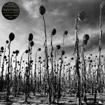 Dead Can Dance Anastasis