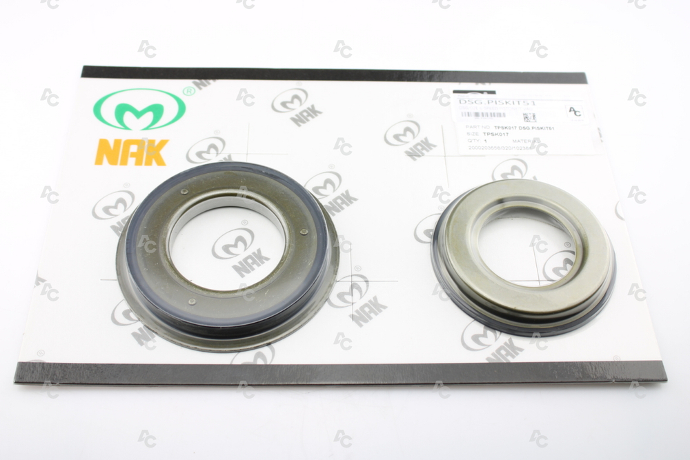 DSG.PISKIT51