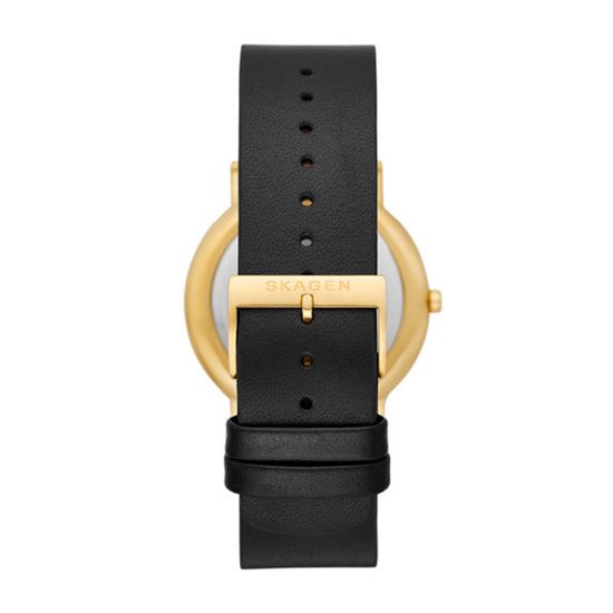 Мужские часы Skagen SKW6897