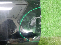 DSCN9666.jpg
