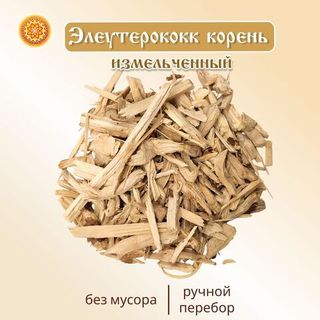 Элитеурококк корень щепа.