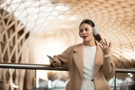 Беспроводные наушники Sony WH-1000XM4 Серебристый