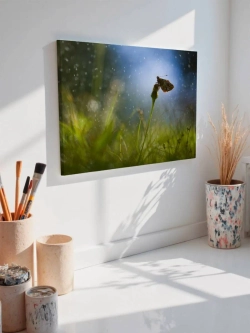 Картина на стену 40 X 50 Бабочка
