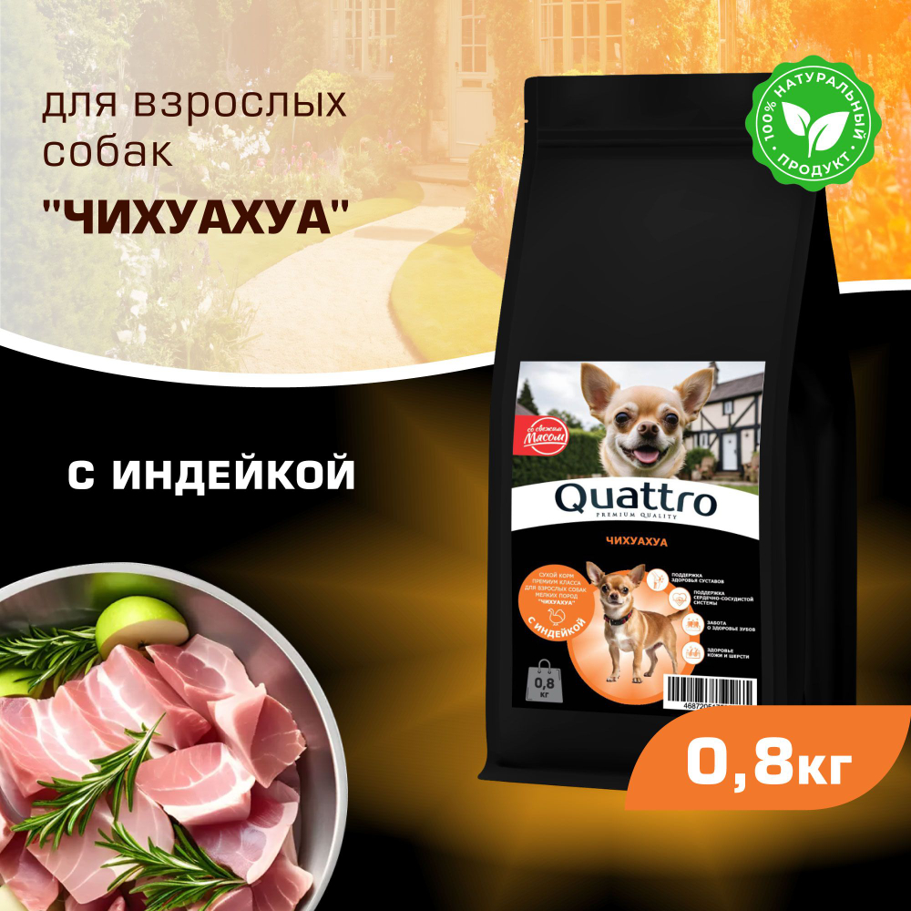 Корм сухой для взрослых собак породы Чихуахуа, с индейкой, 800 гр, QUATTRO