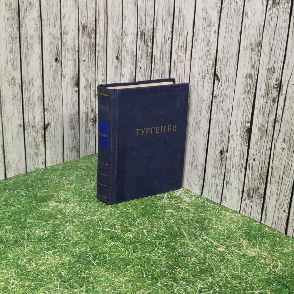 Книга "Стихотворение Тургенева"