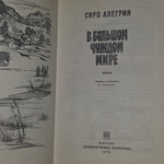 книга " В большом чуждом мире "