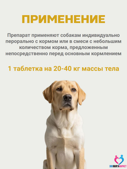 Бикардил 10 мг/80 мг для лечения сердечной недостаточности для собак 20-40 кг, 30 таблеток