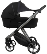 Детская коляска Pituso Sole 3 в 1 с автокреслом Santiso Pro Black PMPT/023 Black