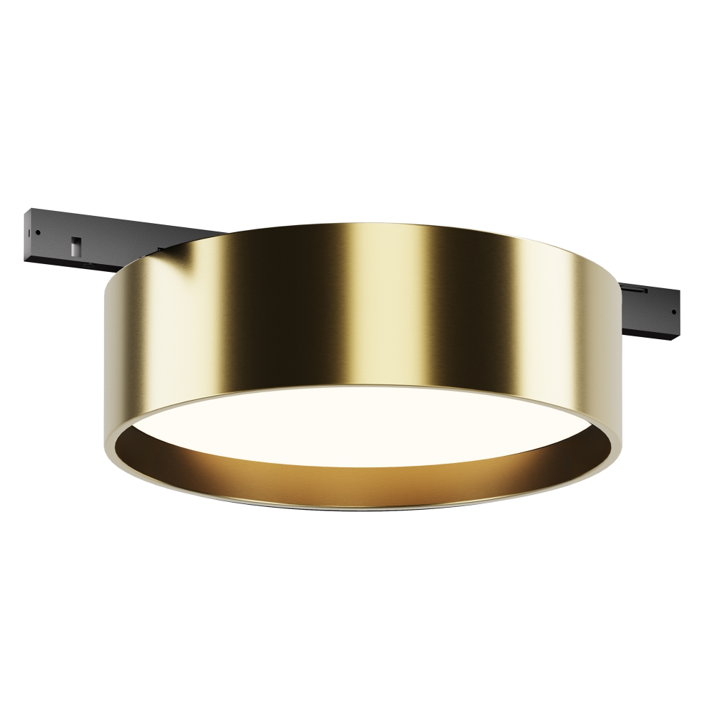 Магнитный трековый светильник Maytoni Zon TR189-1-12W4K-BBS