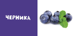 Мои первые слова. Фото-книга. Фрукты МИНИ