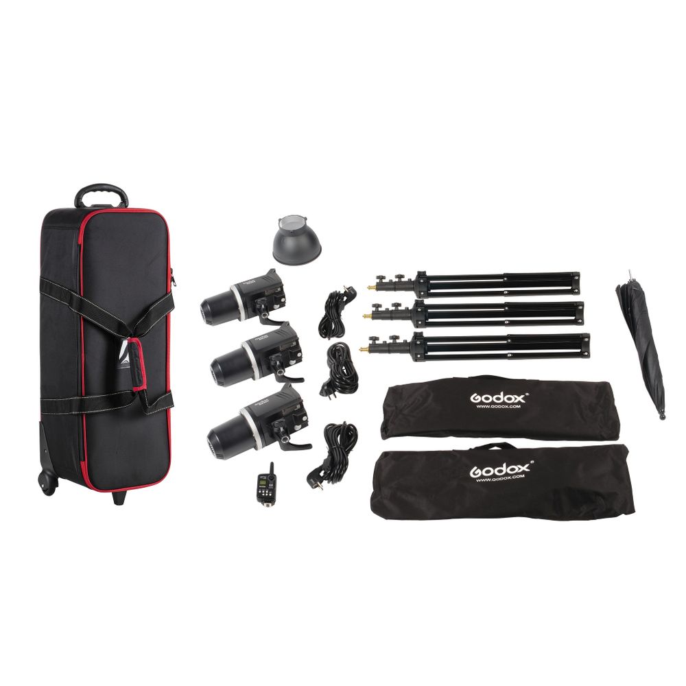 Godox MS300-D