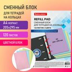 Сменный блок к тетради на кольцах БОЛЬШОЙ ФОРМАТ А4, 120 л., BRAUBERG, (4 цвета по 30 листов), 404519