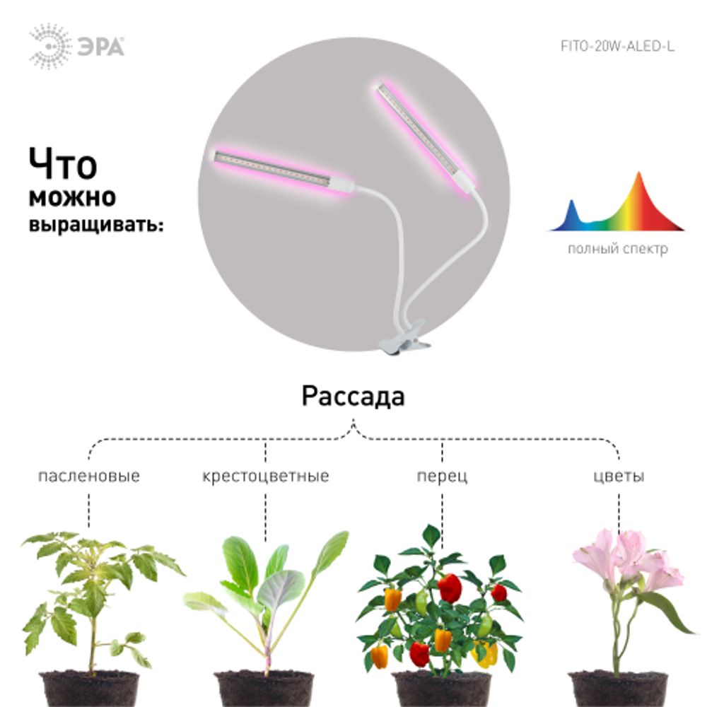 Светильник для растений на прищепке ЭРА FITO-20W-АLED-L полного спектра 12 Вт белый | Интерьерные фито светильники
