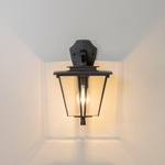 Citilux FORTS CLU10W Уличный настенный светильник