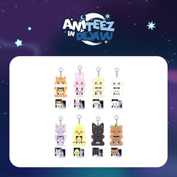 Мерч ANITEEZ IN DEJA VU - ACRYLIC MAGNETIC ID PHOTO HOLDER [картхолдер]