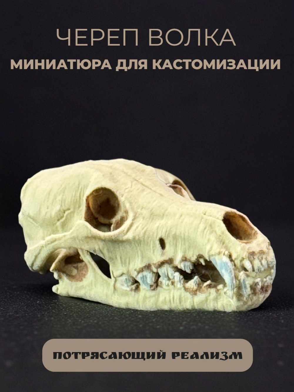 Череп барана миниатюра для декора, настольных игр, тематических предметов, фентези-атрибутов, диорам и инсталяций.