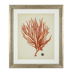 Постер Prints Antique red corals set of 6 арт.111741