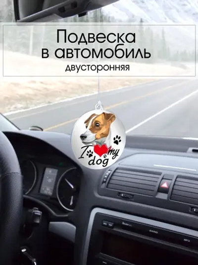 Подвеска в машину - Джек-рассел-терьер