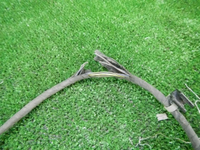 DSCN9456.JPG