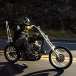 Gringo SV / Зеленый