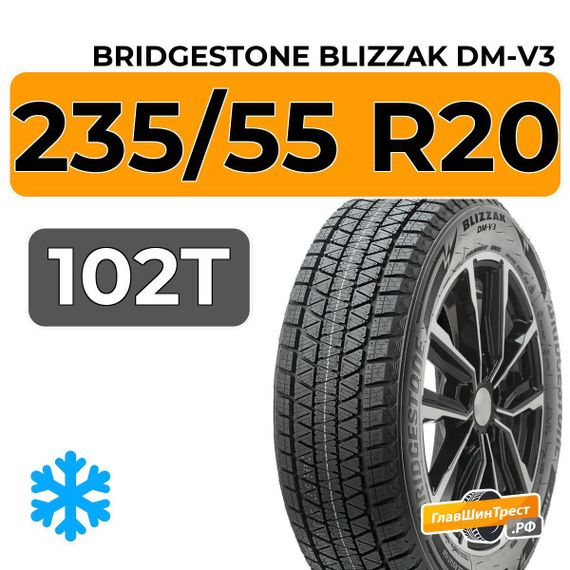 Bridgestone Blizzak DM-V3 235/55 R20 102T
