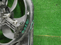 DSCN8656.JPG
