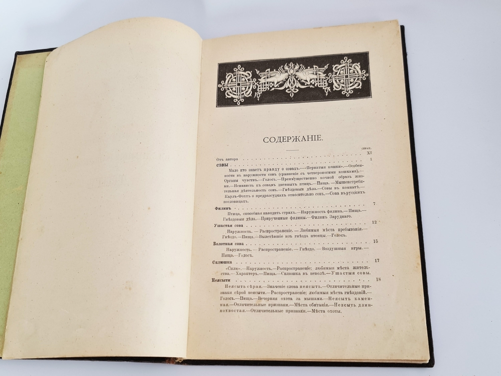 "Пернатые хищники. Популярные очерки из мира русских хищных птиц". Д.Н.Кайгородов. 1906 г.