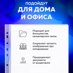 Папки-файлы перфорированные А4 BRAUBERG «PREMIUM», комплект 100 шт., гладкие, «Яблоко», 35 мкм, 221710