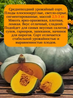 Семена Тыква крупноплодная Крошка 20 гр