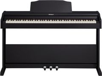 Roland RP-102