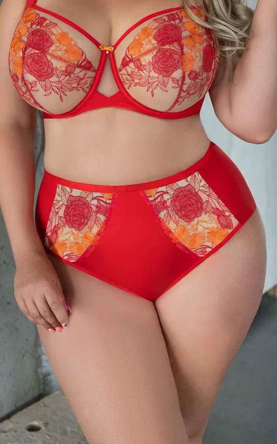 SWEETHEART Briefshighwaist Трусы высокие