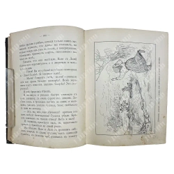 Желиховская В.П. Как я была маленькой. СПБ. Изд. Девриена. [1905]