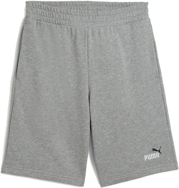 Шорты спортивные мужские PUMA ESS 2 COLOR No. 1 Logo Shorts 10" TR