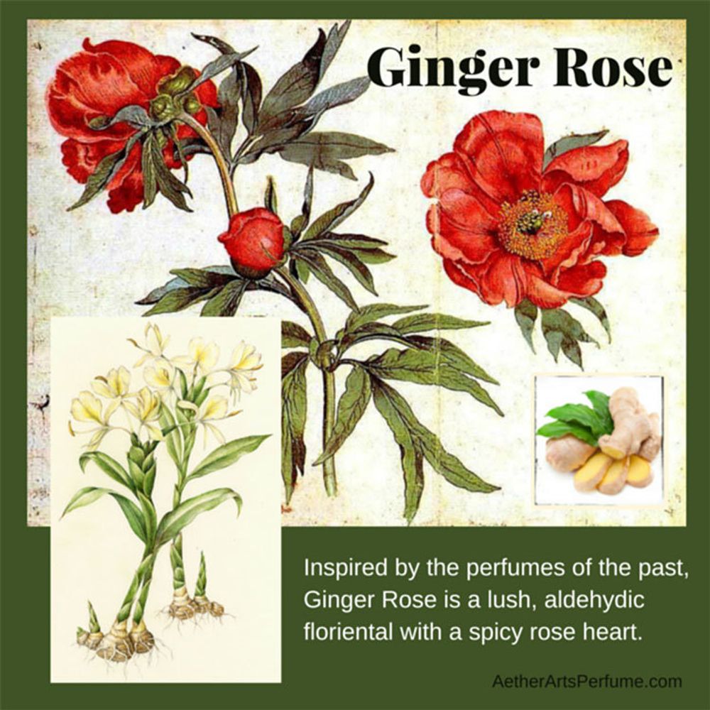 Aether Arts Perfume Ginger Rose