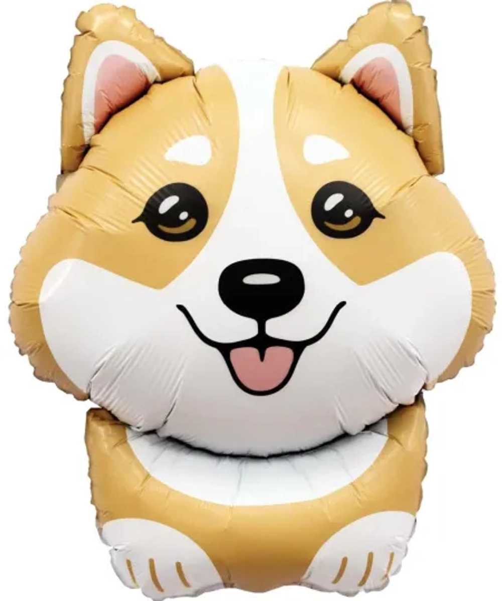 Корги